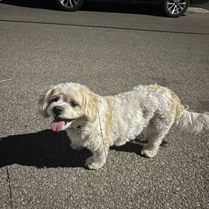 Meet your Posher, Fiona